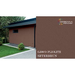 SETERBRUN PLIOLITE.jpg